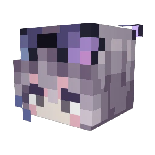 Tom_UwU_ Minecraft avatar head, 3D render