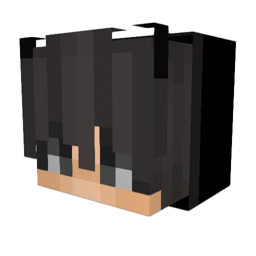 Tom_der_abfahrer Minecraft avatar head, 3D render