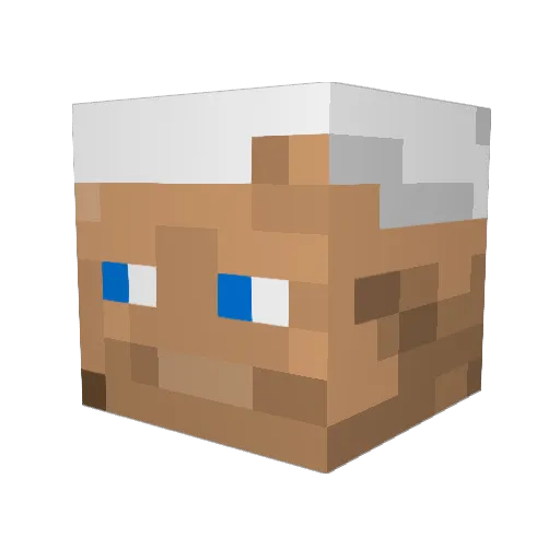 Tom_haase Minecraft avatar head, 3D render