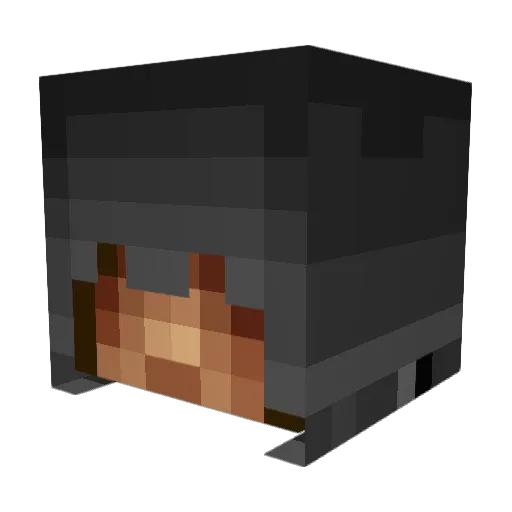 TomaHawk559 Minecraft avatar head, 3D render