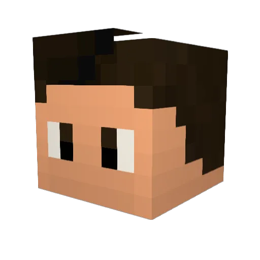 TomaKo14 Minecraft avatar head, 3D render