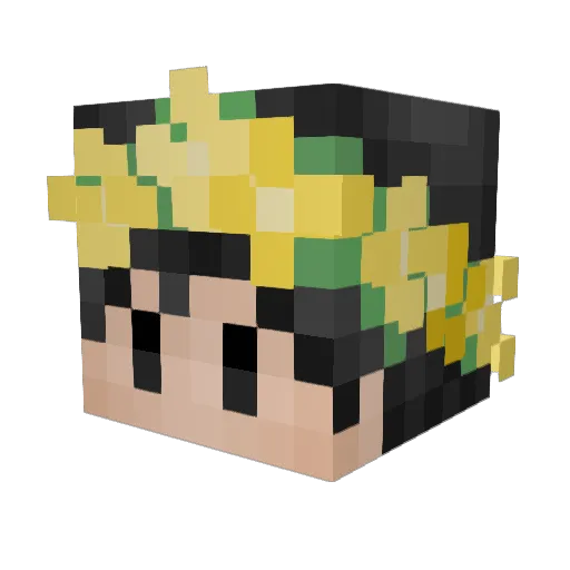 TomaTeete Minecraft avatar head, 3D render