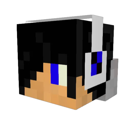 Tomahawk753 Minecraft avatar head, 3D render