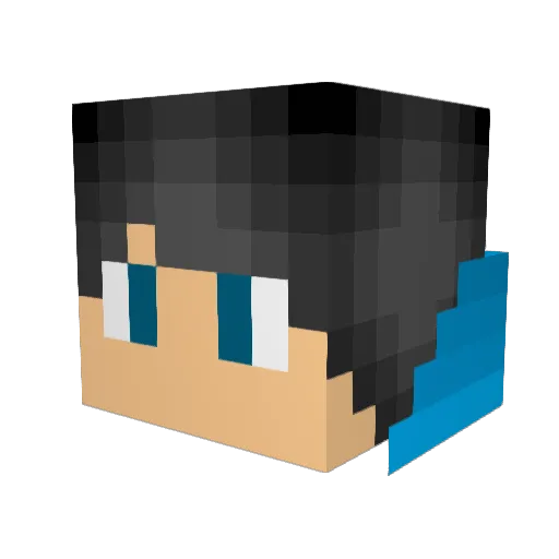 Tomahawkgeek Minecraft avatar head, 3D render