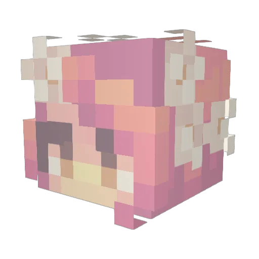 Tomahime Minecraft avatar head, 3D render