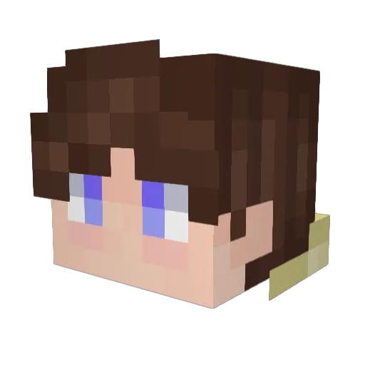 Tomak9g Minecraft avatar head, 3D render