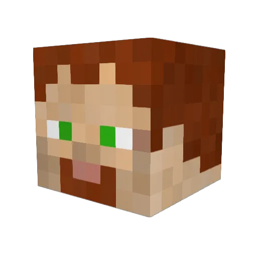 Tomaketu Minecraft avatar head, 3D render