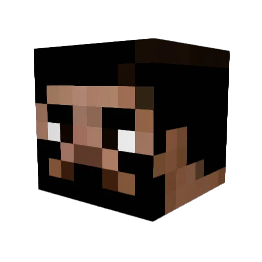 TomandVic Minecraft avatar head, 3D render
