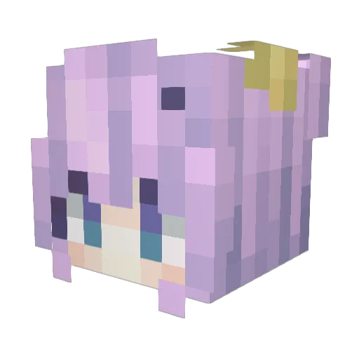 Tomas007007 Minecraft avatar head, 3D render