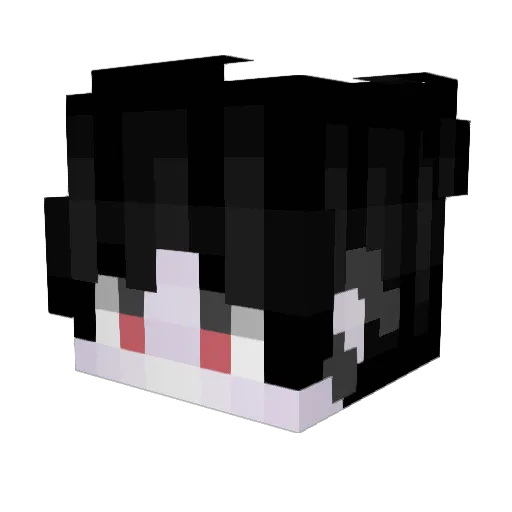 TomasHolder Minecraft avatar head, 3D render