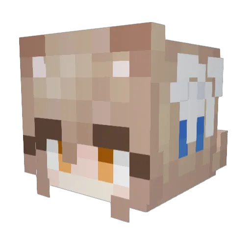 TomasJoke Minecraft avatar head, 3D render