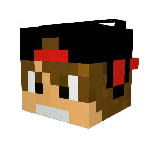 TomasPereira2000 Minecraft avatar head, 3D render