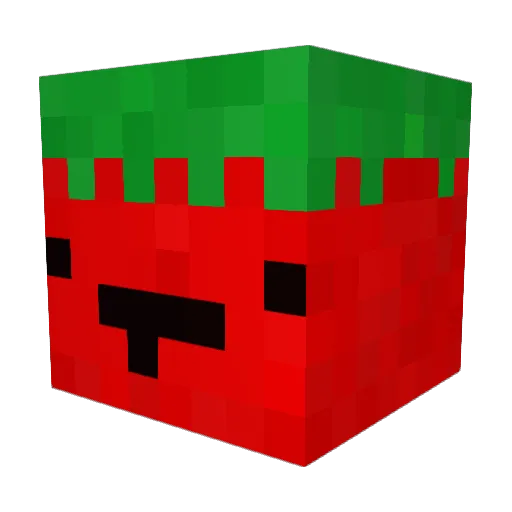TomasTomado Minecraft avatar head, 3D render