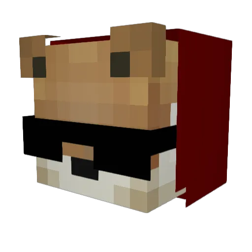 Tomas_allah Minecraft avatar head, 3D render