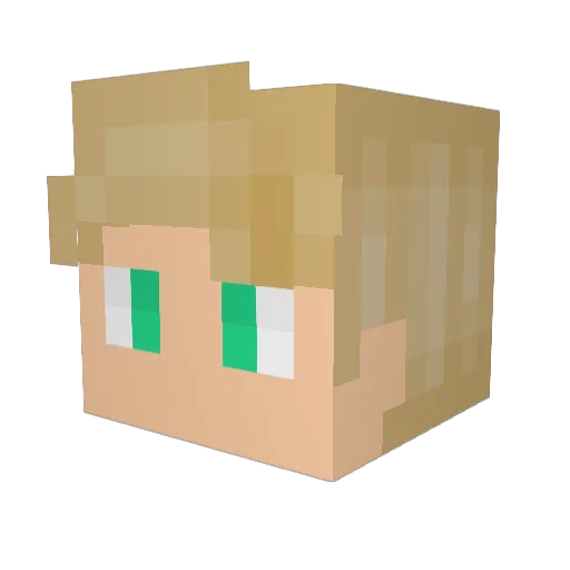 Tomascz146 Minecraft avatar head, 3D render