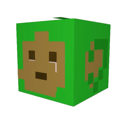 Tomasso123 Minecraft avatar head, 3D render