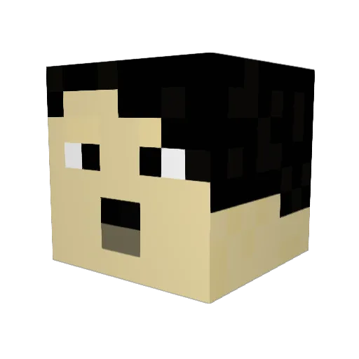 Tomasssssss Minecraft avatar head, 3D render