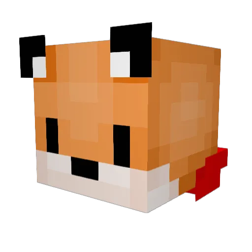 Tomasyplaz24 Minecraft avatar head, 3D render