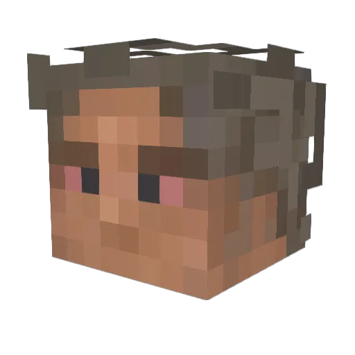 TomaszProblem99 Minecraft avatar head, 3D render