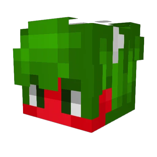Tomatazoo Minecraft avatar head, 3D render