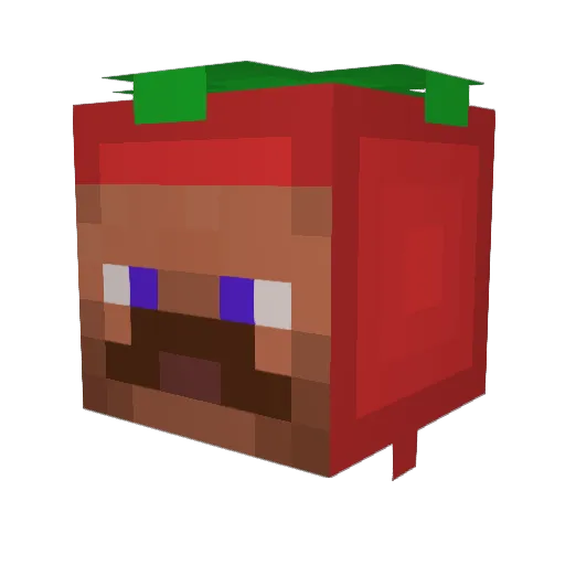 Tomate2206 Minecraft avatar head, 3D render