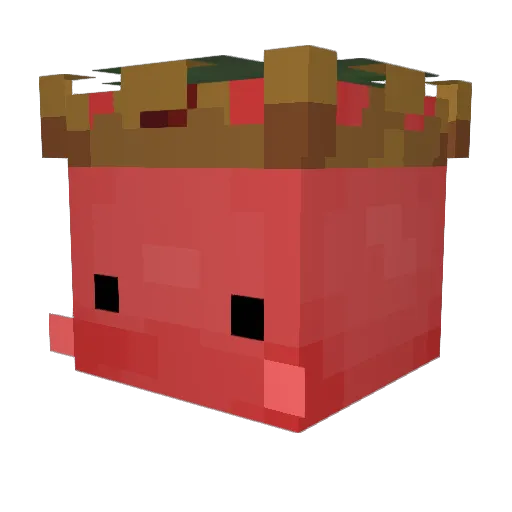 Tomate3003 Minecraft avatar head, 3D render