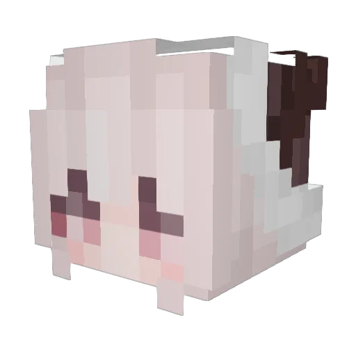 TomateConSal Minecraft avatar head, 3D render