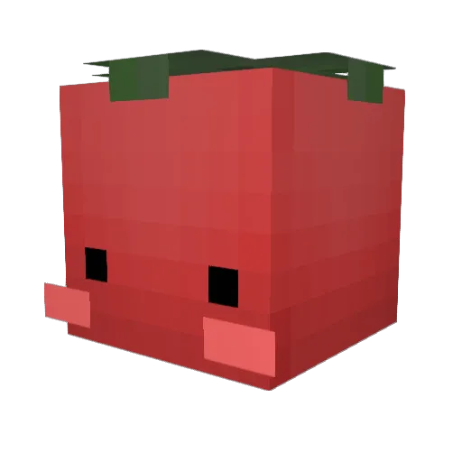 Tomate_chan Minecraft avatar head, 3D render