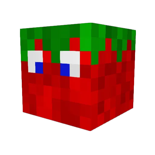 Tomatensalz Minecraft avatar head, 3D render