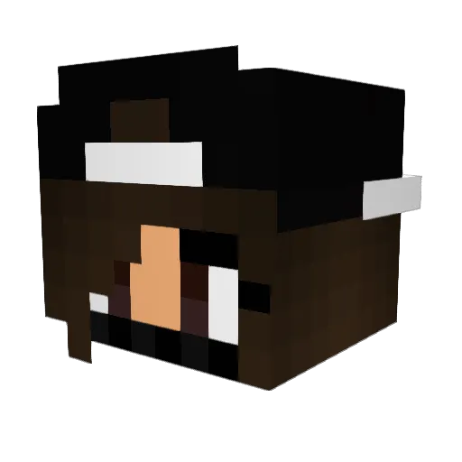 Tomateous Minecraft avatar head, 3D render