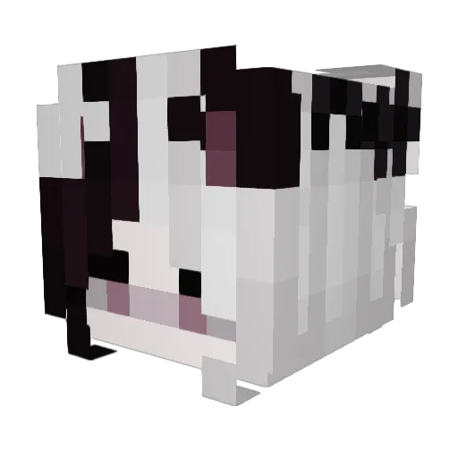 Tomatinnn Minecraft avatar head, 3D render