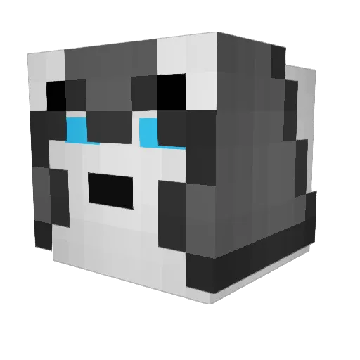 TomatitoWTF Minecraft avatar head, 3D render