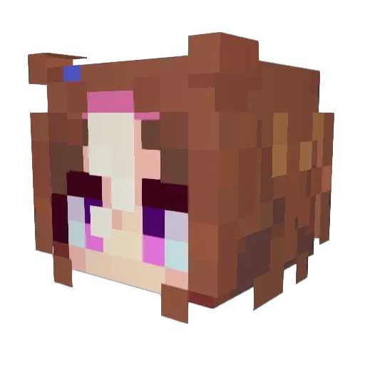 Tomatkaj Minecraft avatar head, 3D render