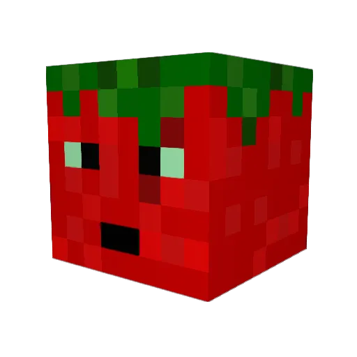 Tomato1336 Minecraft avatar head, 3D render