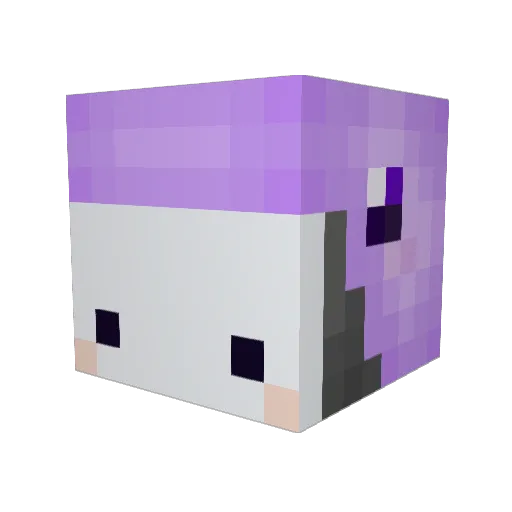 Tomato153 Minecraft avatar head, 3D render