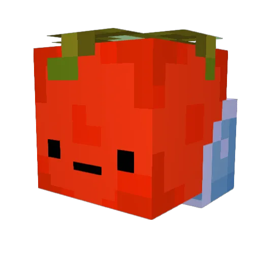 Tomato1XD Minecraft avatar head, 3D render
