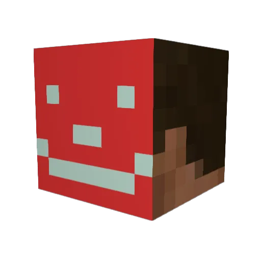 Tomato4144 Minecraft avatar head, 3D render