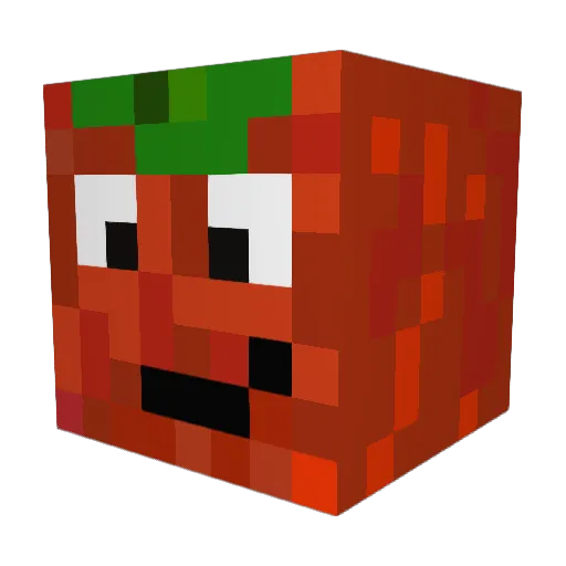 Tomato55 Minecraft avatar head, 3D render