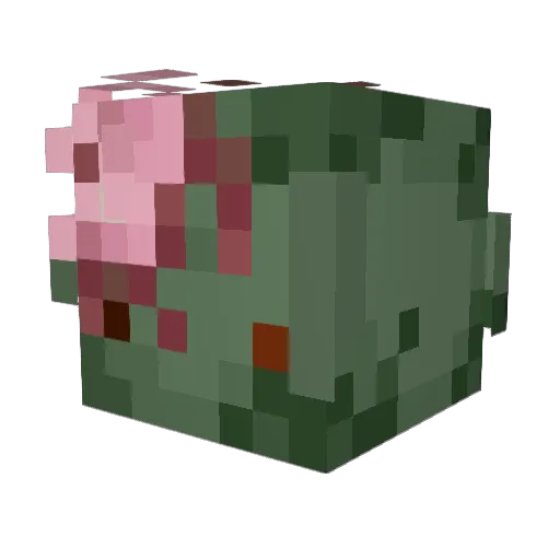 Minecraft-Avatar von TomatoBorito: Kopf als 3D-Render
