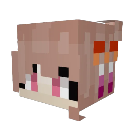 TomatoFemboy Minecraft avatar head, 3D render