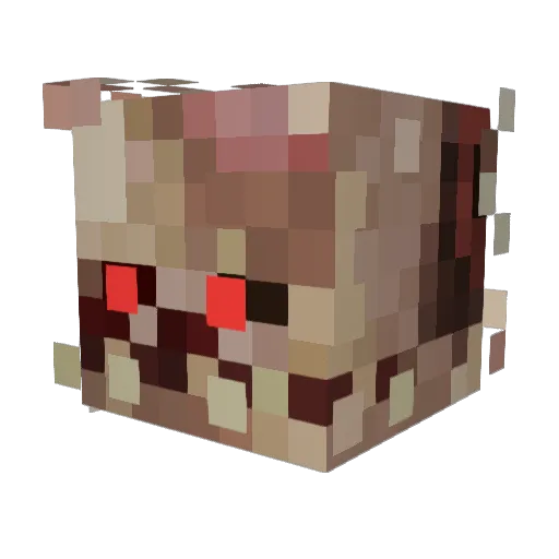 TomatoGoose2717 Minecraft avatar head, 3D render