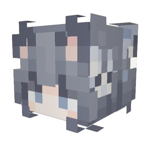 TomatoKing1123 Minecraft avatar head, 3D render