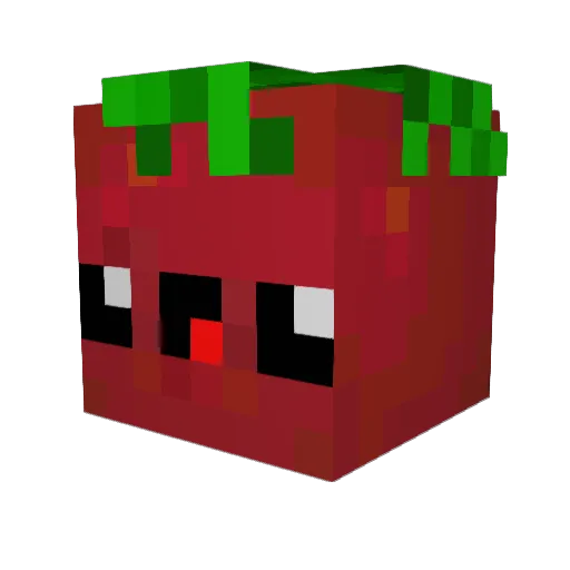 Tomatochip11 Minecraft avatar head, 3D render