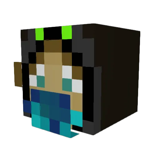 Tomatojam77 Minecraft avatar head, 3D render