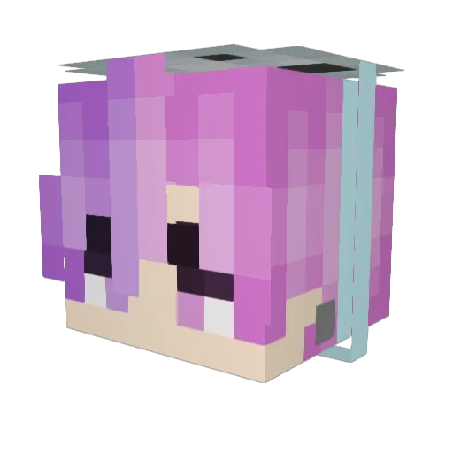 Tomatuna Minecraft avatar head, 3D render