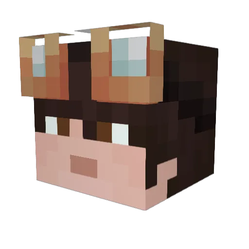 Tomazarc Minecraft avatar head, 3D render