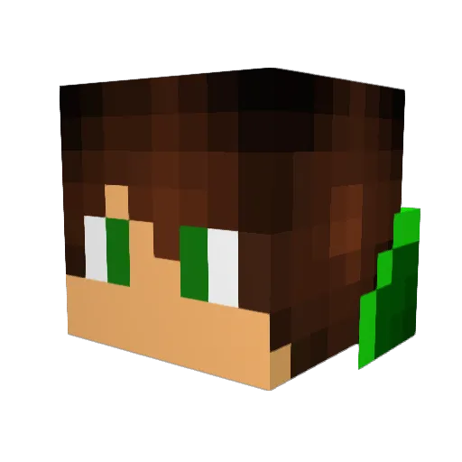 Tombert13 Minecraft avatar head, 3D render