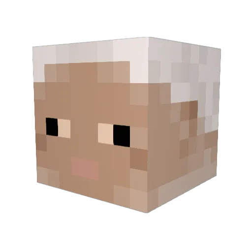 TombingTorch Minecraft avatar head, 3D render