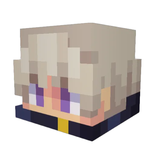 Tomcat113 Minecraft avatar head, 3D render