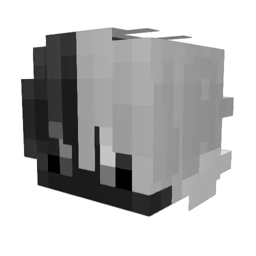 Tomcat6972 Minecraft avatar head, 3D render